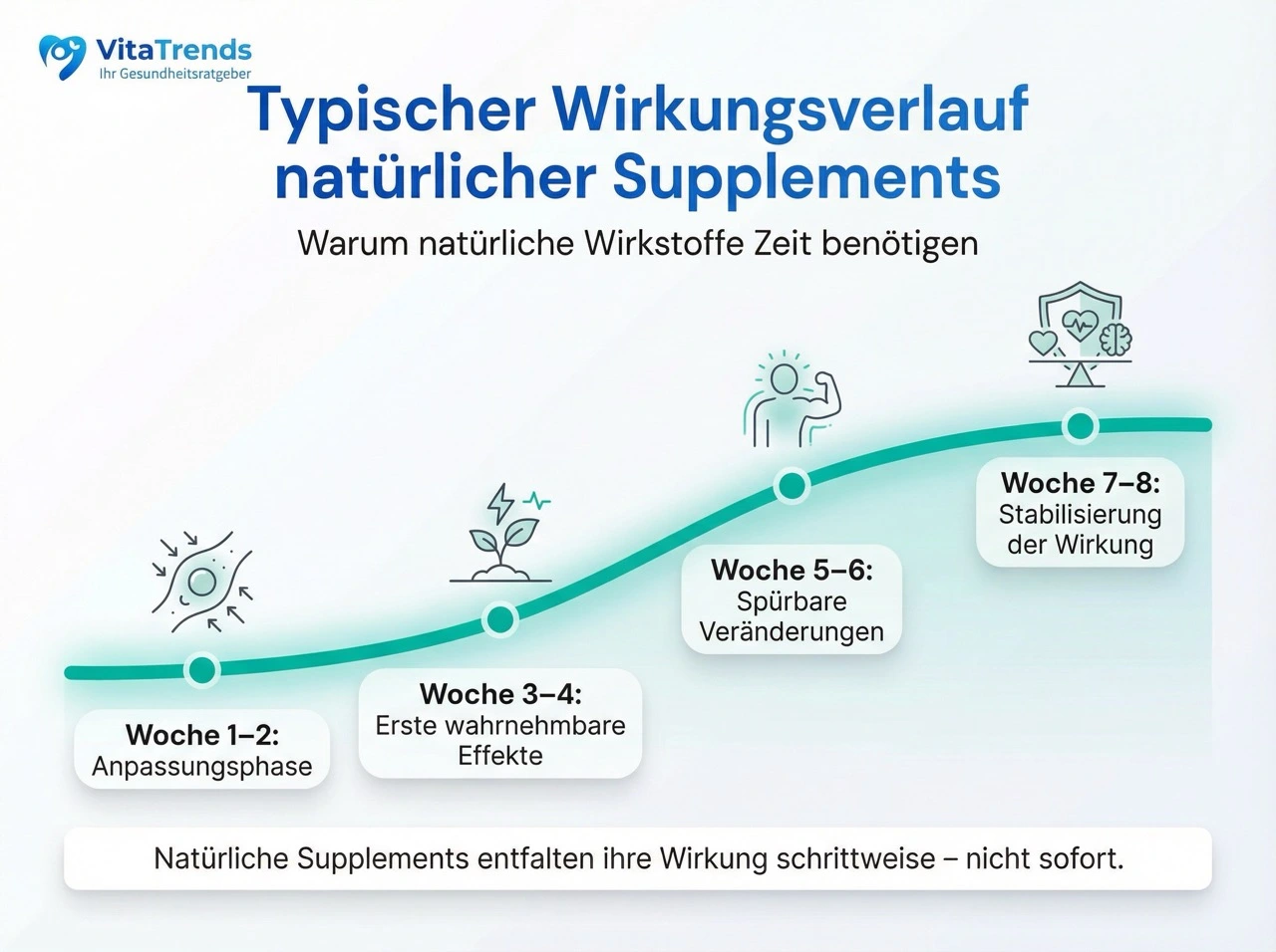 Typischer Wirkungsverlauf: Timeline von Einnahme bis volle Wirkung nach 6-8 Wochen